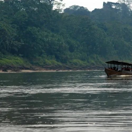 Amazon Expedition: Puerto Maldonado – Tambopata