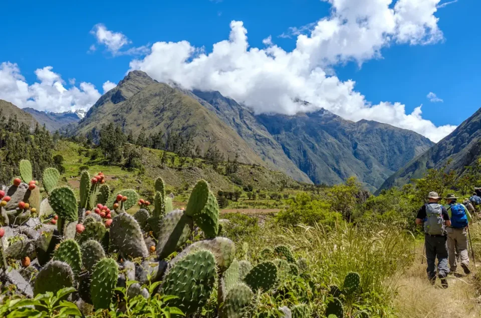 Best Time to Hike the Inca Trail: A Complete Guide for Travelers